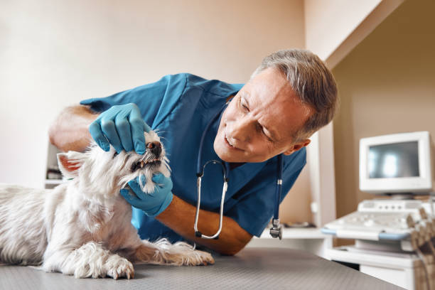 Best Emergency TMJ Treatment in Fern Park, FL